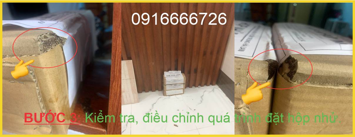 Kiểm tra, điều chỉnh quá trình đặt hộp nhử