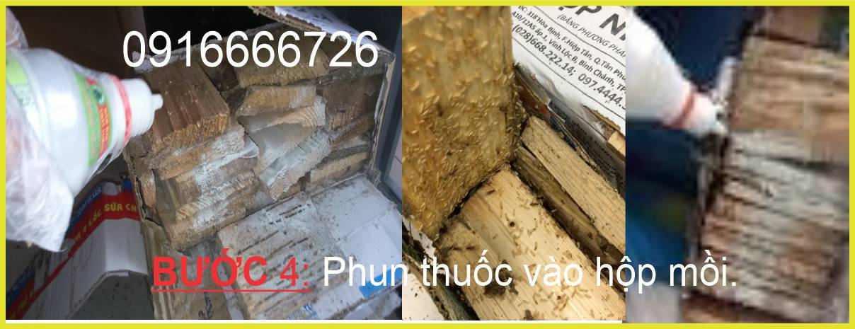 Phun thuốc vào hộp mồi