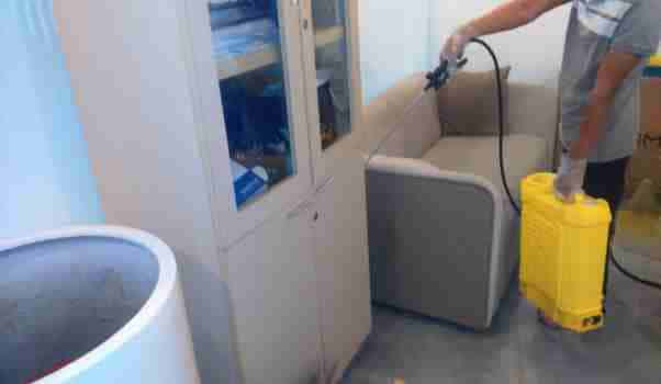 cách phun thuốc diệt muỗi