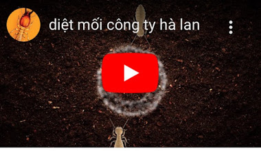 diệt mối