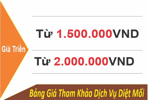bảng giá tham khảo dịch vụ diệt mối
