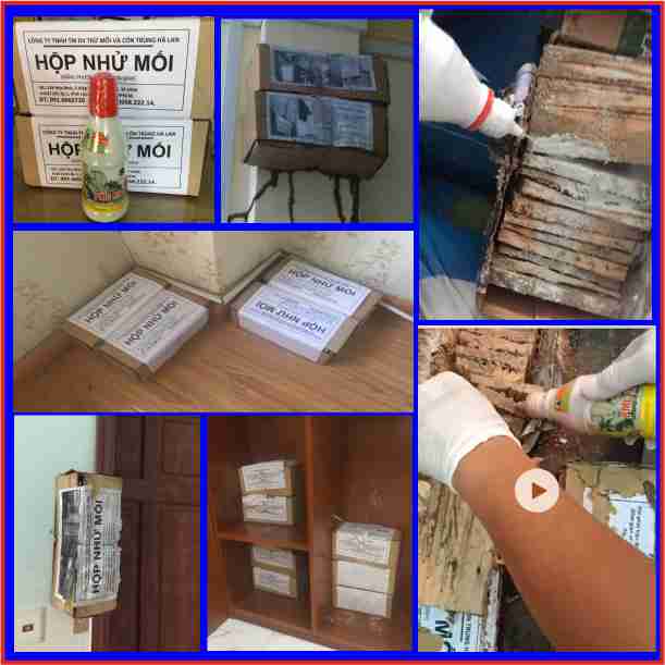 CỬA HÀNG DIỆT MỐI TÂN PHÚ