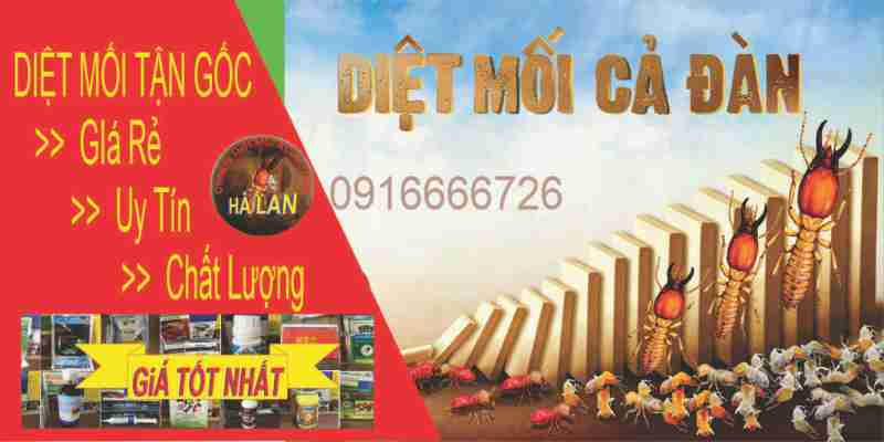 diệt mối tận gốc