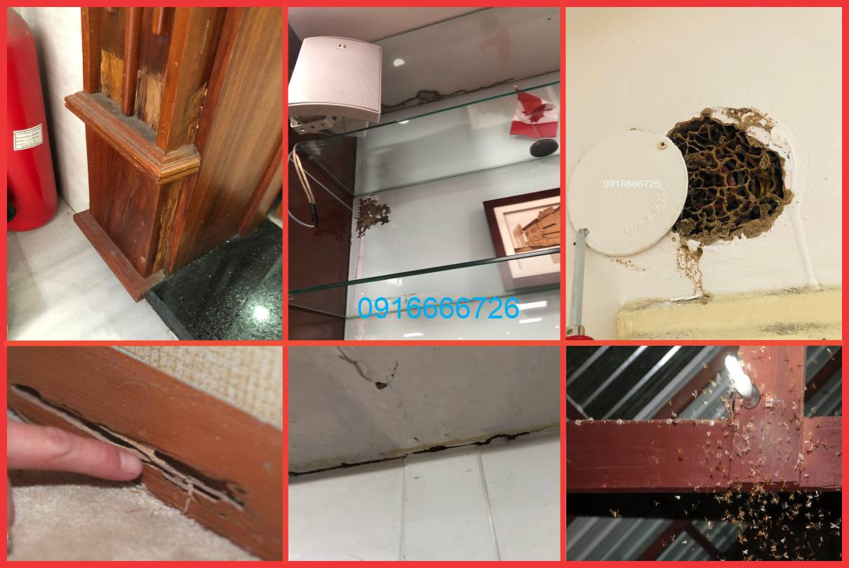 cần phải kiểm tra mối