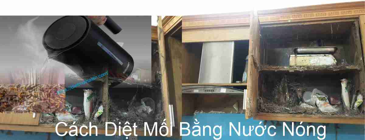 Cách Diệt Mối Bằng Nước Nóng