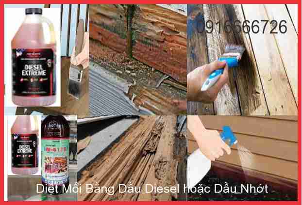 Kill termites with Diesel or Lubricant Oil