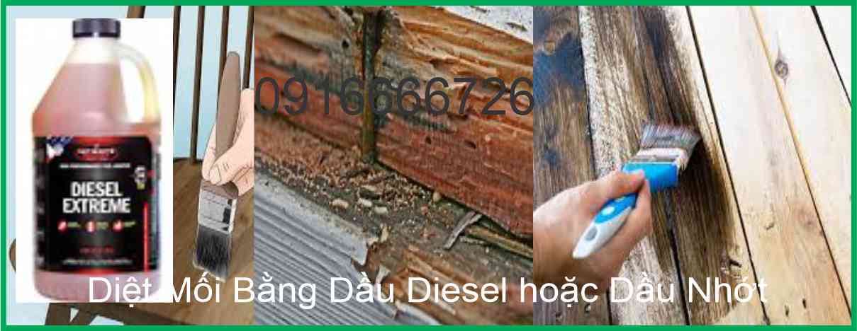 Diệt Mối Bằng Dầu Nhớt