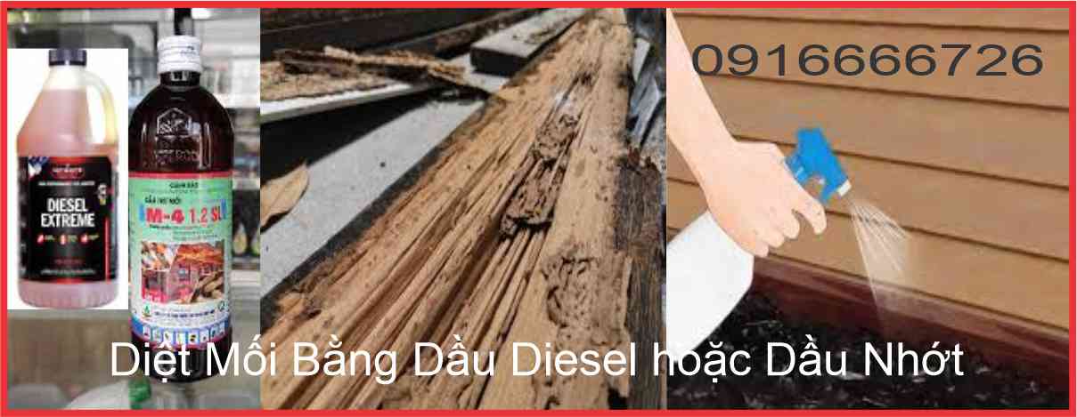 Diệt Mối Bằng Dầu Diesel