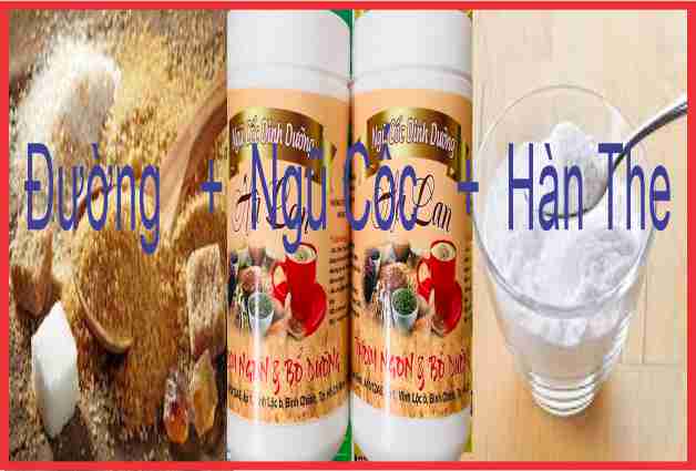 Kill termites with Borax