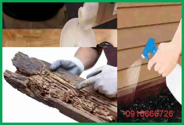 Termite Control Chemicals