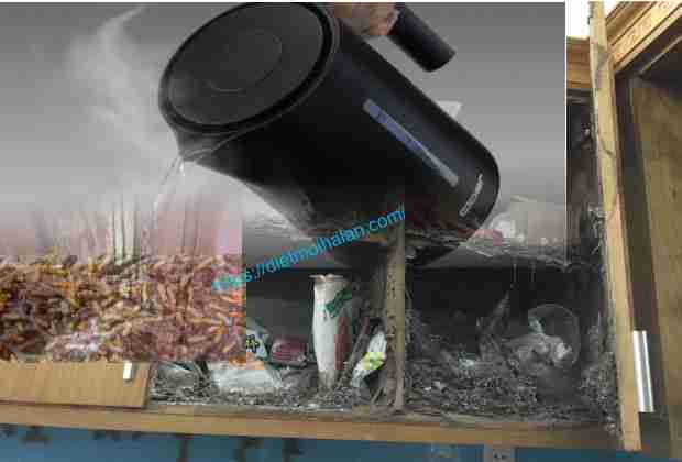 Kill termites with hot water