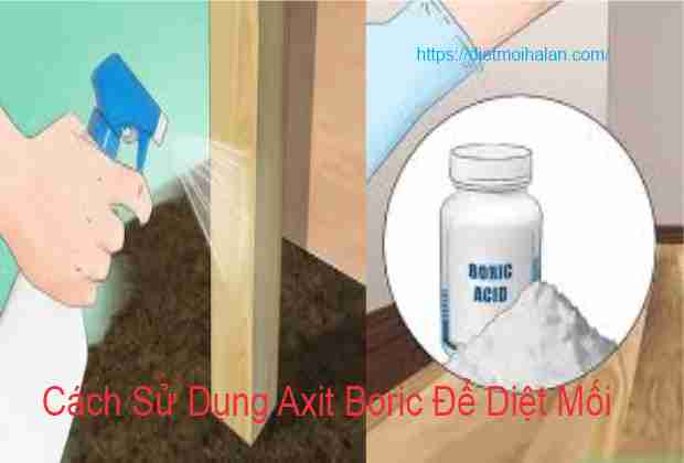 Use Boric Acid To Kill Termites