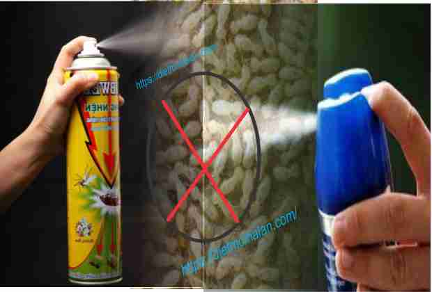 Use Mosquito Spray To Kill Termites