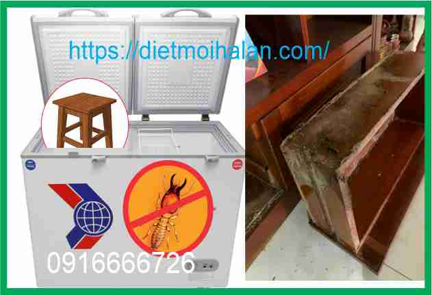 Kill termites with Freezing