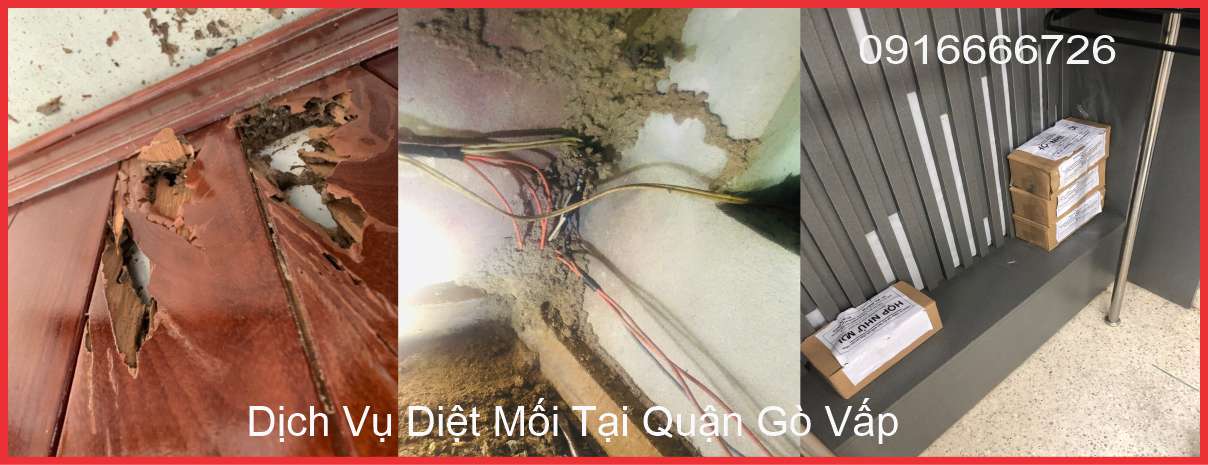Dịch Vụ Diệt Mối Tại Quận Gò Vấp