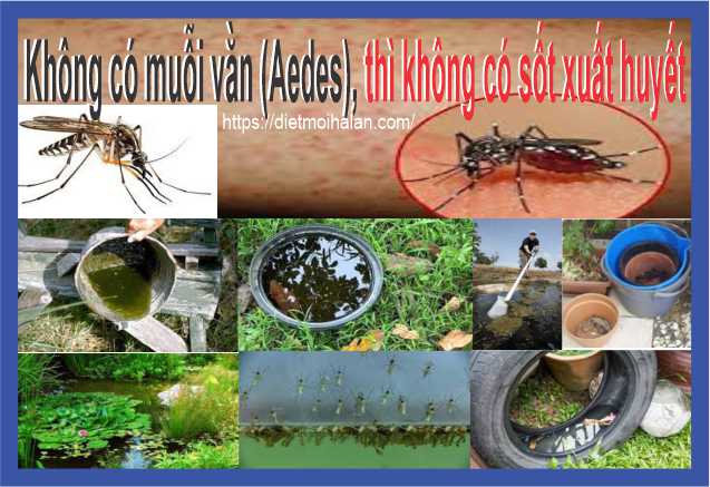 Cách diệt muỗi