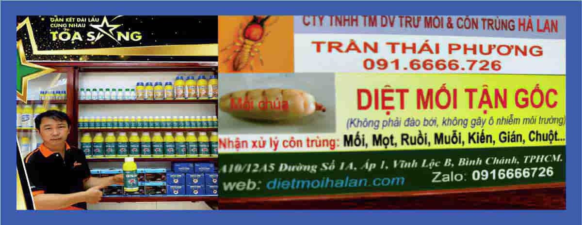 Diệt mối, Diệt mối tận gốc