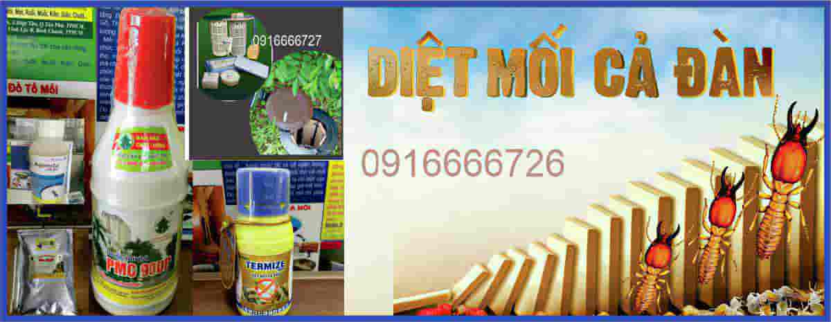 Diệt mối, Diệt mối tận gốc
