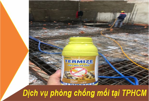Dịch vụ chống mối