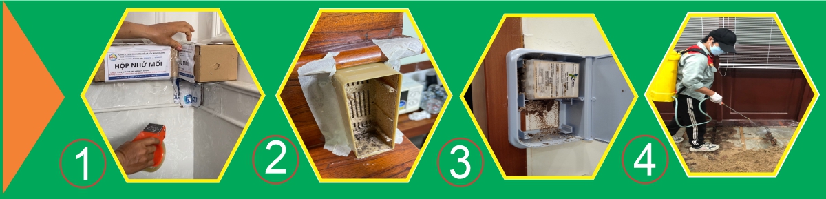 cách diệt mối tận gốc
