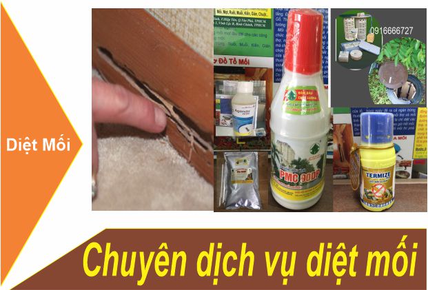 dịch vụ diệt mối
