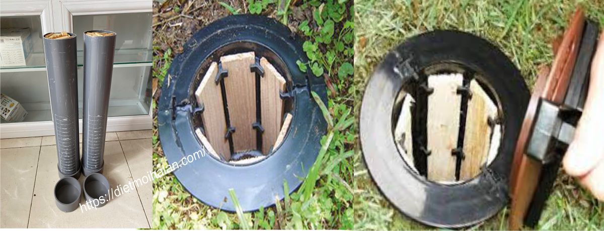 Cách đặt trạm kiểm tra mối