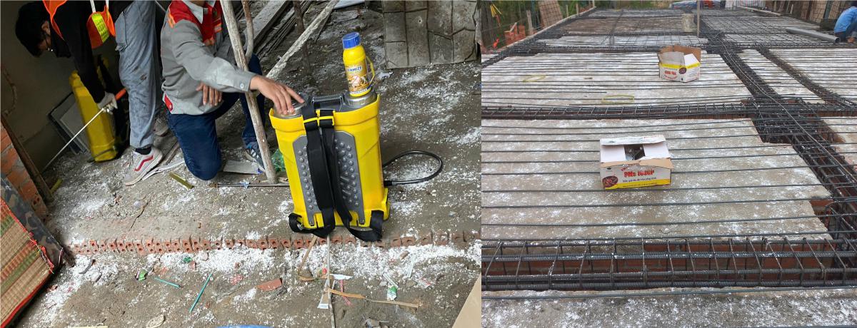 Dịch Vụ Phòng Chống Mối Tại Quận 12