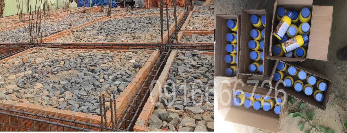 Dịch Vụ Phòng Chống Mối Tại Quận 5