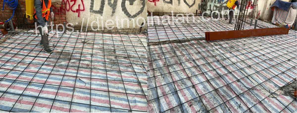 Chống Mối Tại Phú Nhuận