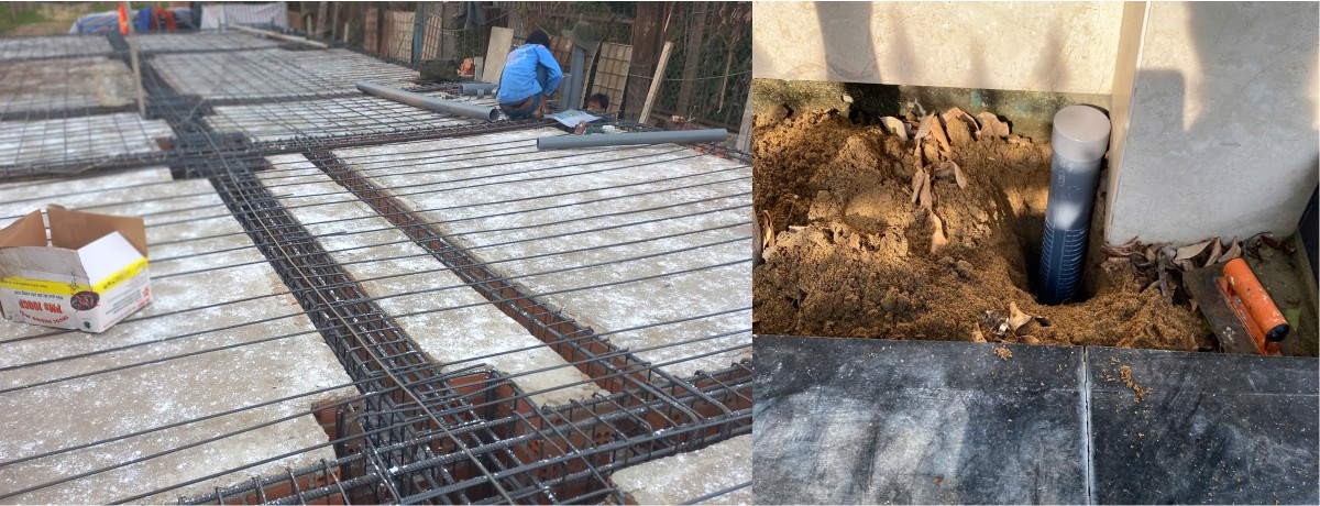 Dịch Vụ Phòng Chống Mối Tại Quận 7