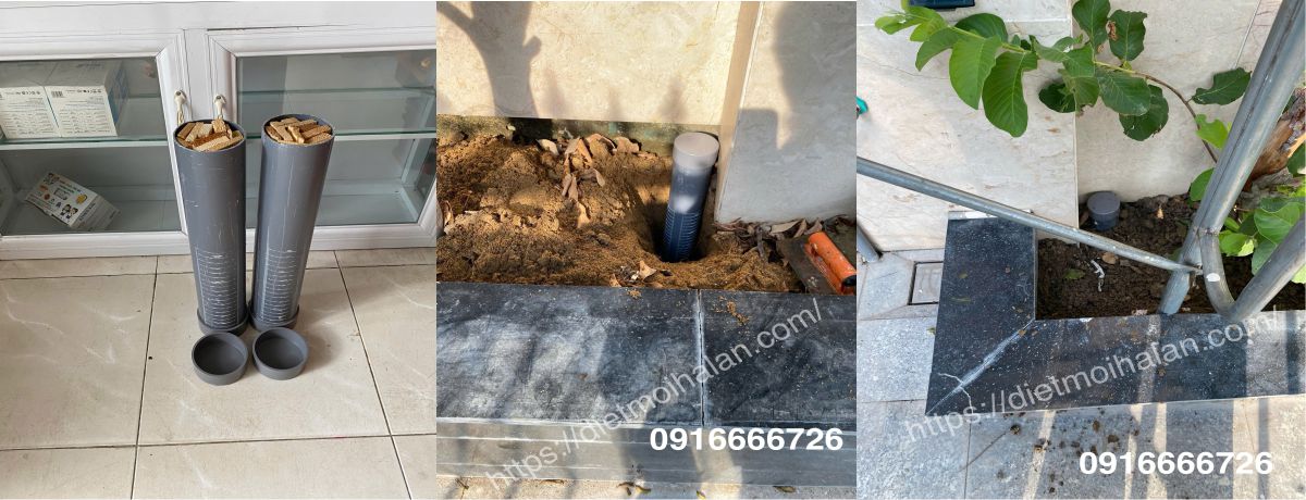 Hướng dẫn chi tiết đặt trạm kiểm tra mối